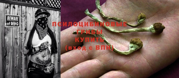 apvp Абдулино
