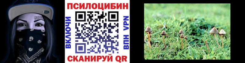 Псилоцибиновые грибы ЛСД  Новоалтайск 